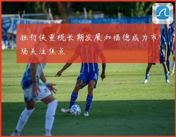 独行侠重视长期发展加福德成为市场关注焦点