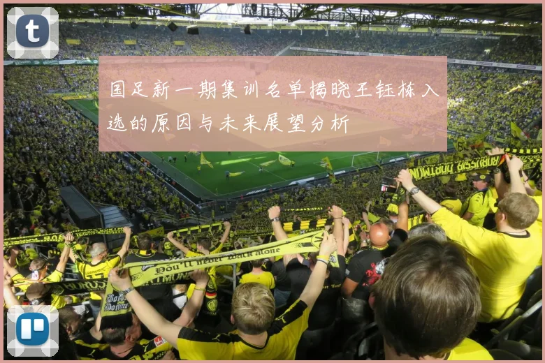 国足新一期集训名单揭晓王钰栋入选的原因与未来展望分析